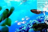 «Следы Земной памяти»