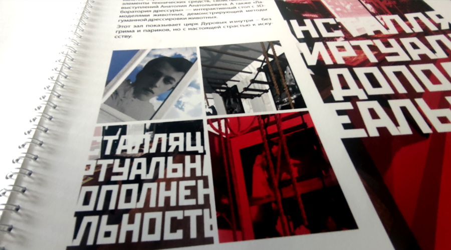 Проект Музея Анатолия Дурова