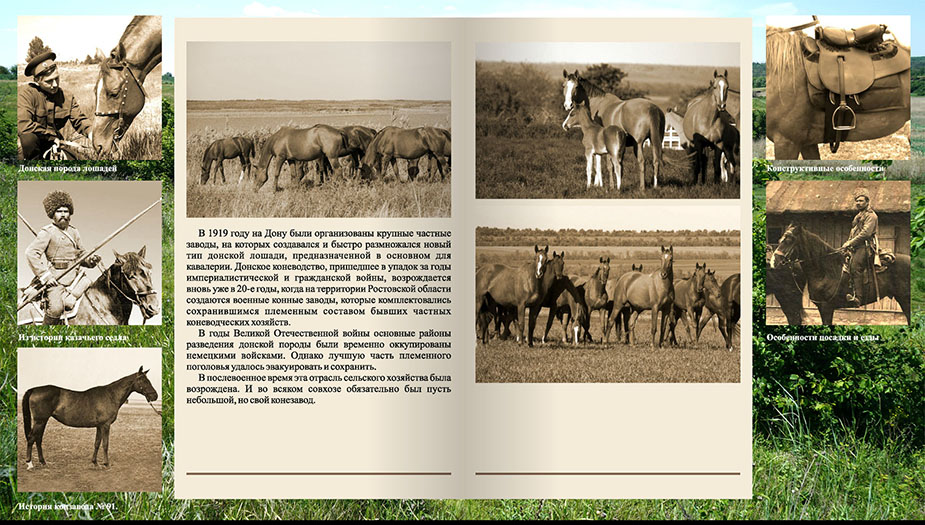 интерактивная книга Юрий Бессмертный