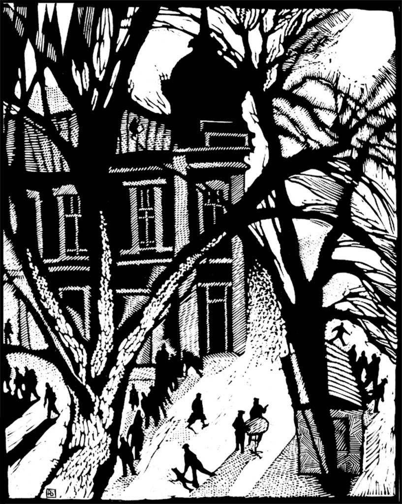 Вид с дерева Вид с дерева